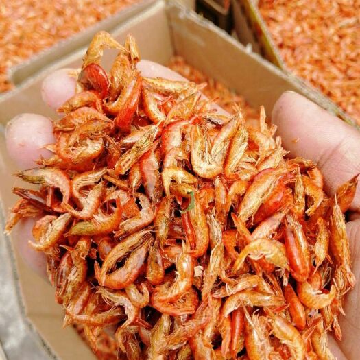 岳阳大和藻虾 
