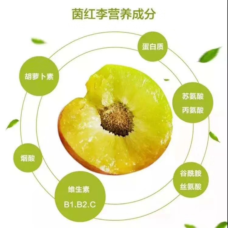  屏山 茵红李 五月脆 半边红