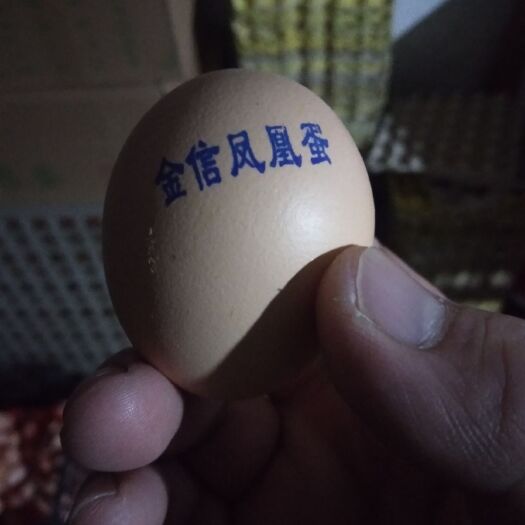 肥西县钢化蛋 凤凰蛋