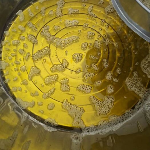 六安 纯油茶籽油
