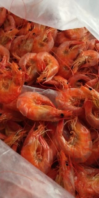 无棣县烤虾干 盐田散养虾，觅食自然微生物，生长周期长