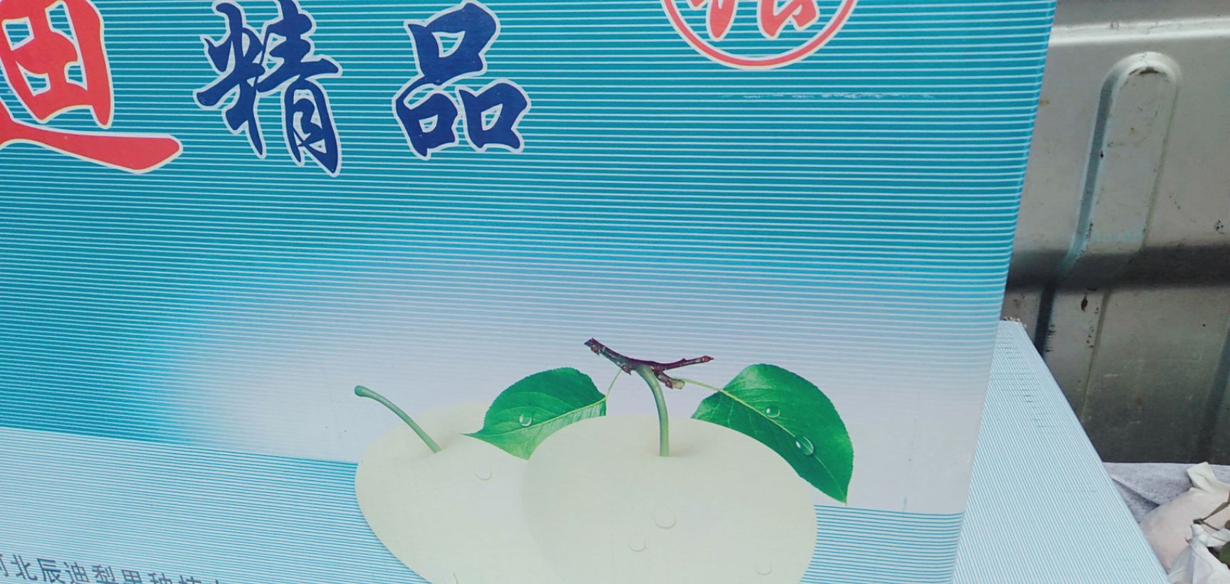 皇冠梨 精品一级皇冠