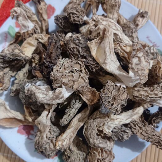 黔西市贵州羊肚菌一手货