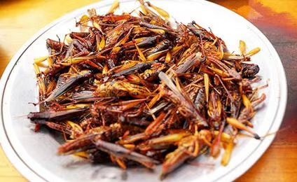 成武县蚂蚱