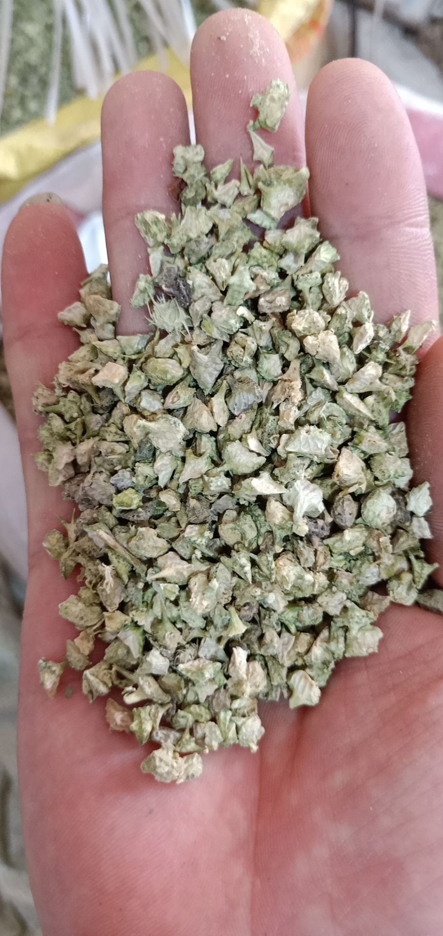 刺蒺藜白蒺藜无硫中药材