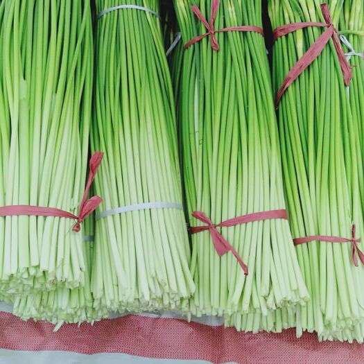 兴平市白帽蒜薹 70cm以上