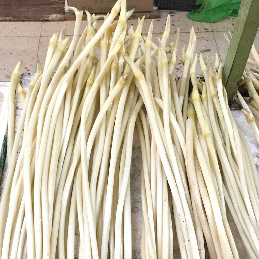 仙桃市 货源直供新鲜藕带