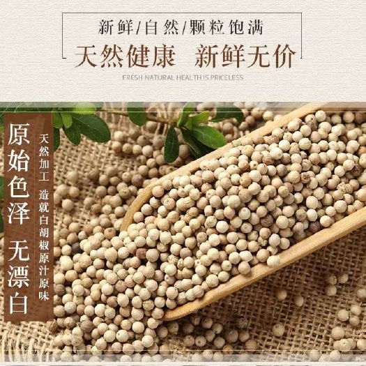 陵水县 海南白胡椒