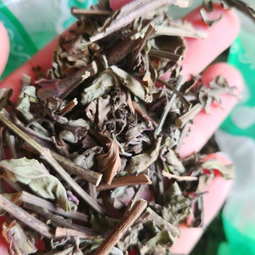 安国市猫须草  干货 草药  量大从优
