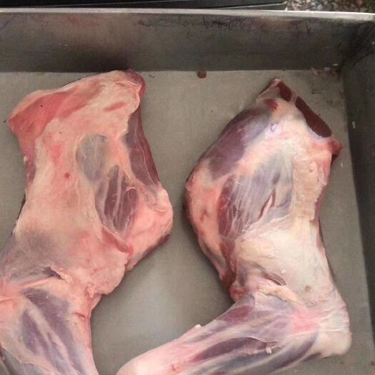 阳信县 烧烤专用羊前腿