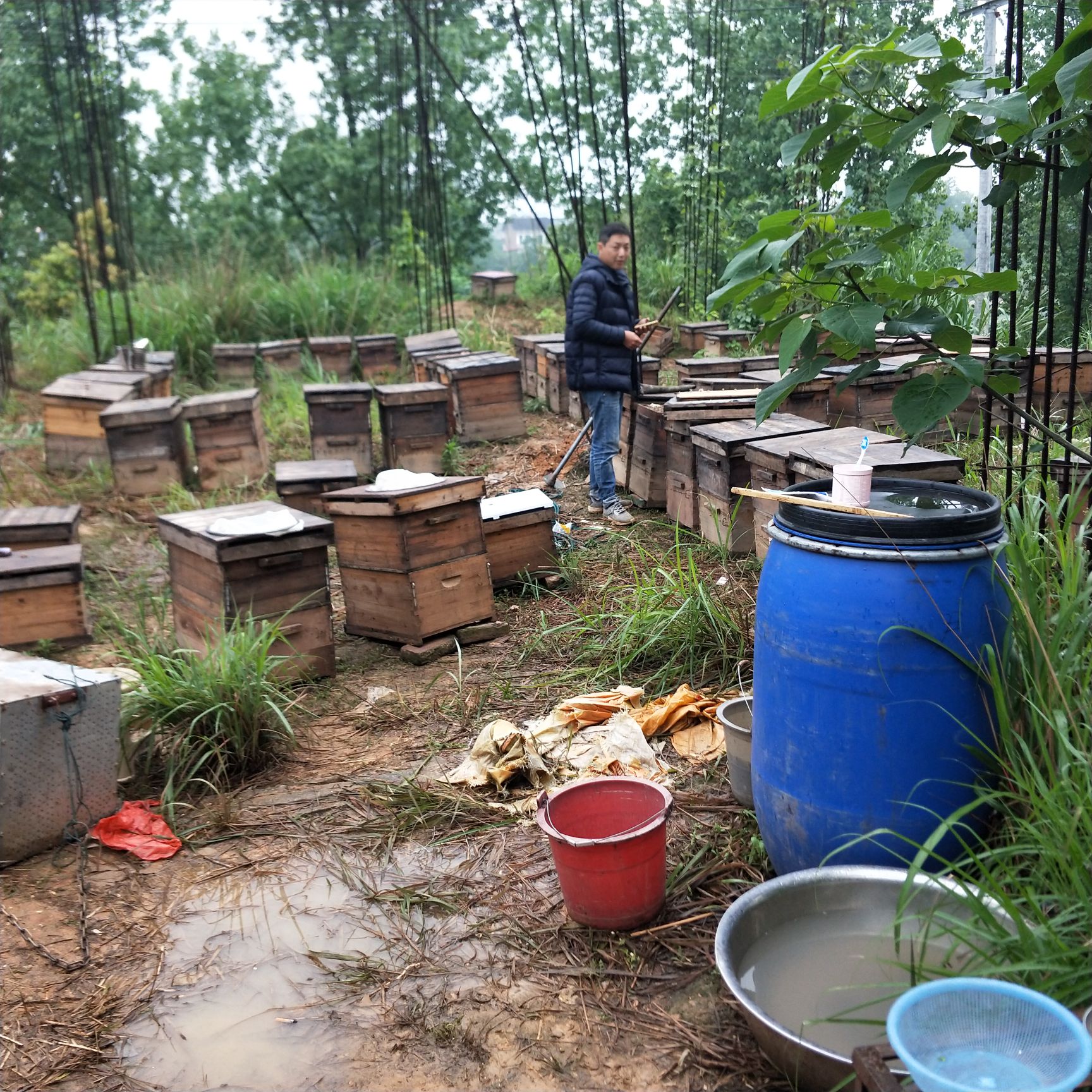  农家土蜂蜜桔子蜜百花蜜新鲜现蜜一件代发