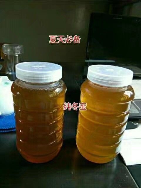 漳浦县冬蜜 凯鑫蜂场