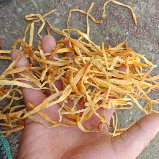 祁东县优质湖南黄花菜，颜色好价位合适，干度干，大量有货。