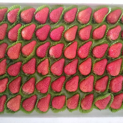 爱莎草莓草莓爱沙