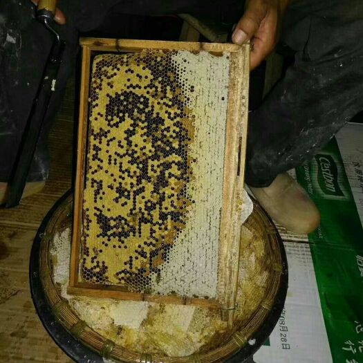 南宁 正宗土蜂蜜，天然，目前已全部搅成蜜浆
