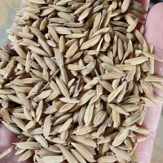乐昌市大米  23年的中晚稻，口感好有粘性重金属不超标，可供食堂和