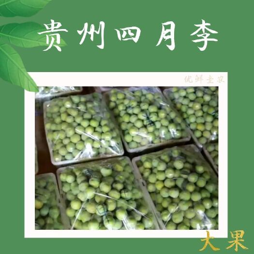 镇宁县四月李 5月20日开摘，通货批发无包装运费自理，下单专用链接