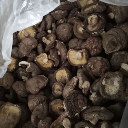 铜仁原木干香菇 美味黔货