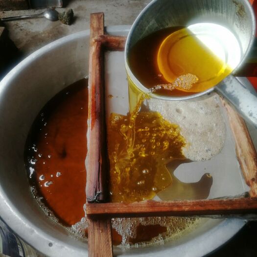 衡南县压榨山茶油  山茶油