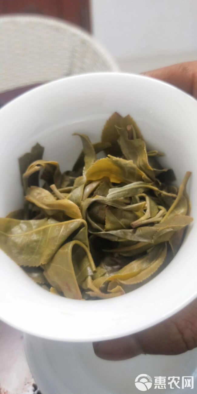 普洱生茶 云南茗茶（勐库）