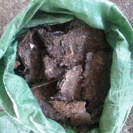 钦州 优质纯干鸡粪