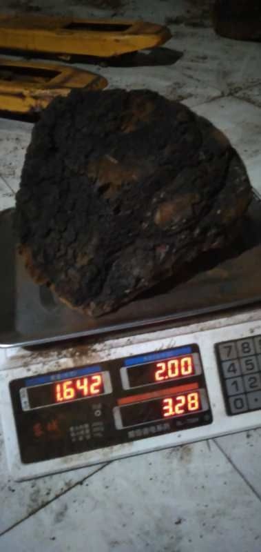 牡丹江俄罗斯桦树茸  三斤以上桦树茸