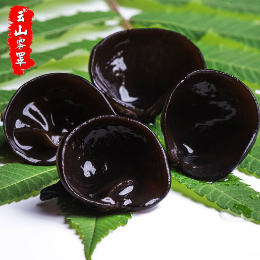 杭州 东北黑木耳小碗耳秋木耳特产干货野云耳长白山椴木耳500g