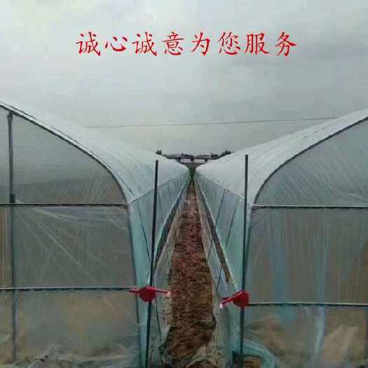 天津大棚管 做大棚我们是专业的