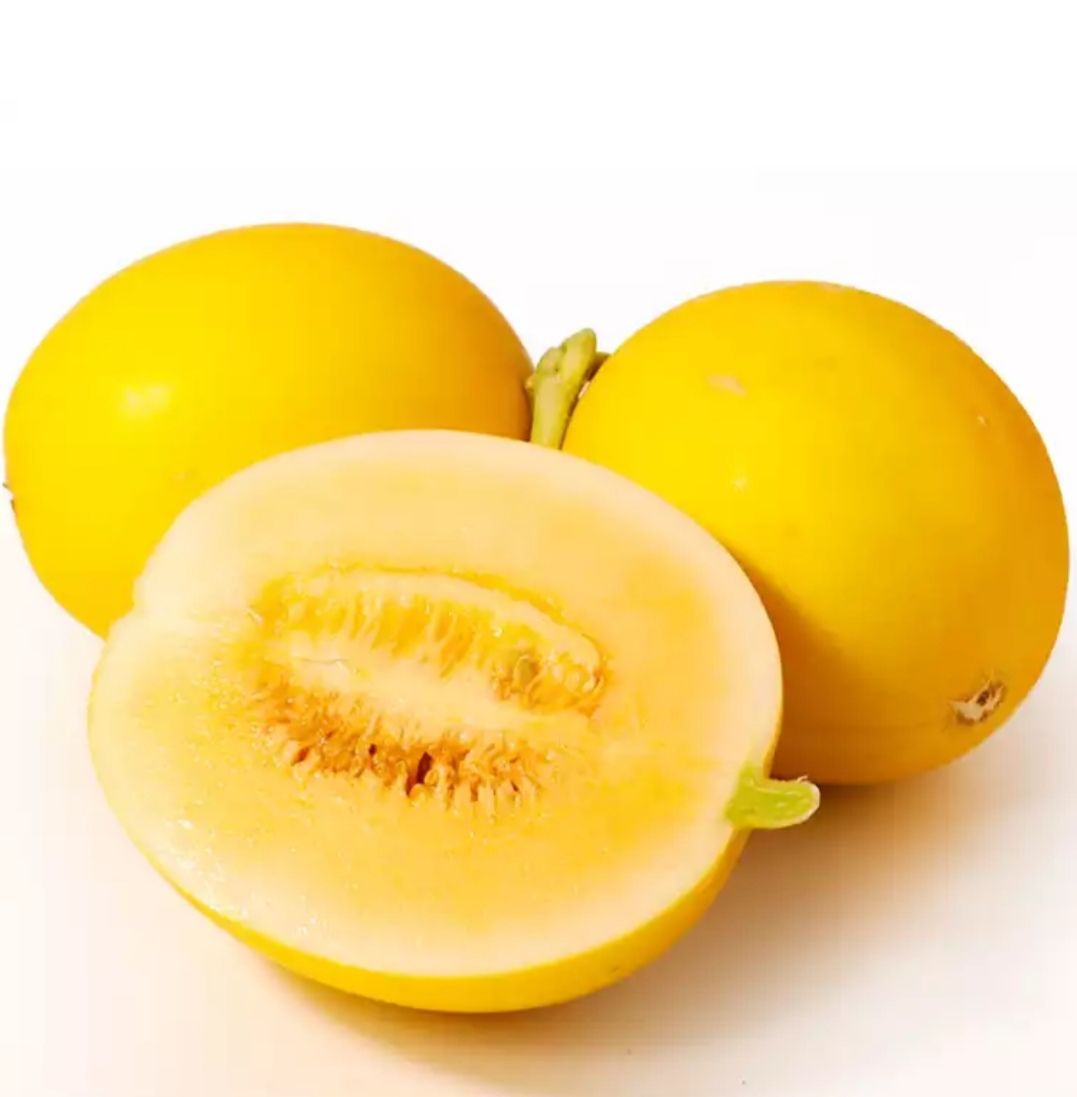 久红瑞甜瓜 甘肃民勤金红宝蜜瓜一件代发