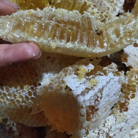 勐海县 云南西双版纳野蜂蜜价优