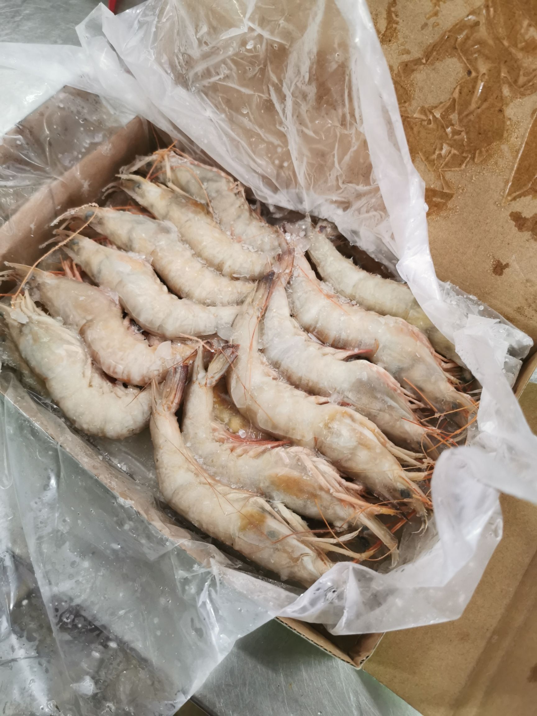 北海海麻虾 天然海捕麻虾中虾