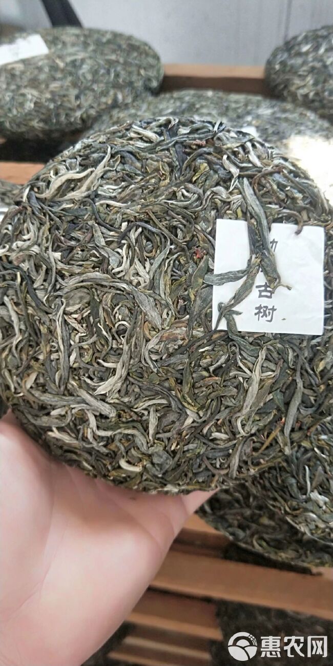 普洱生茶 云南茗茶（勐库）