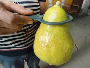 日面红梨  一面红梨精品代办60＃以上河南一面红梨