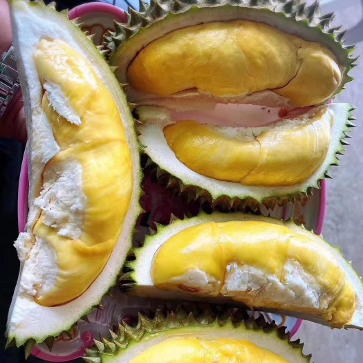 上林县 泰国金枕榴莲