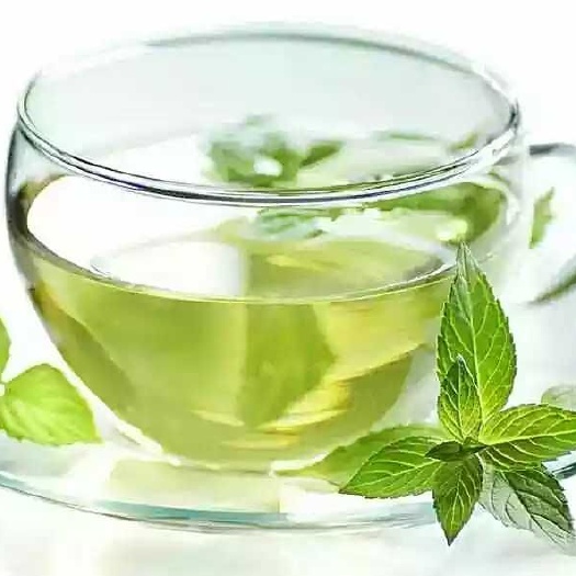 南宁 有机绿茶