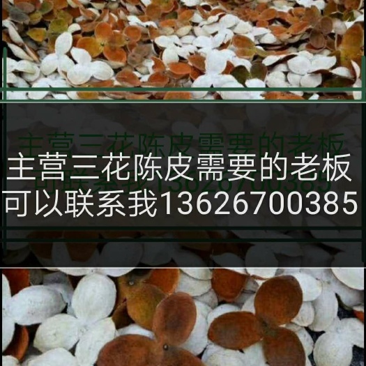 衢州 三花陈皮