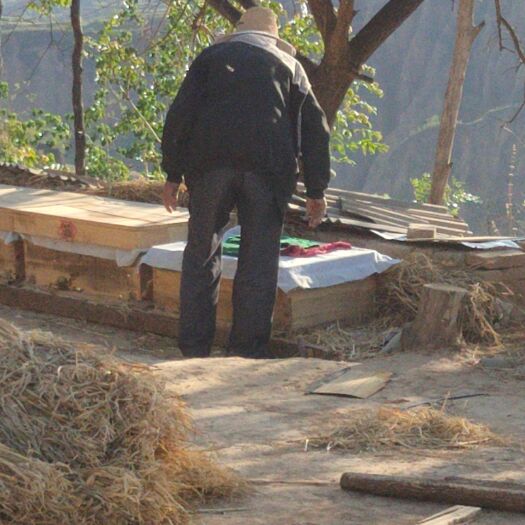 古县土蜂蜜 天然枣花蜜，70岁老农民深山居住养殖，一年采摘2次。