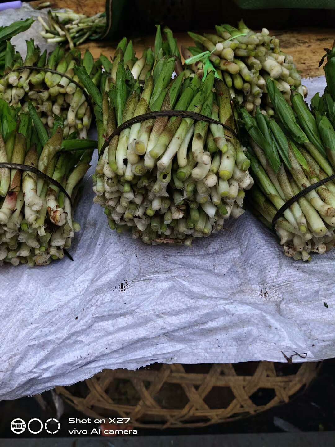 淡竹叶 竹叶菜学名为鹿药草,仅仅产在高黎贡山和碧罗雪山