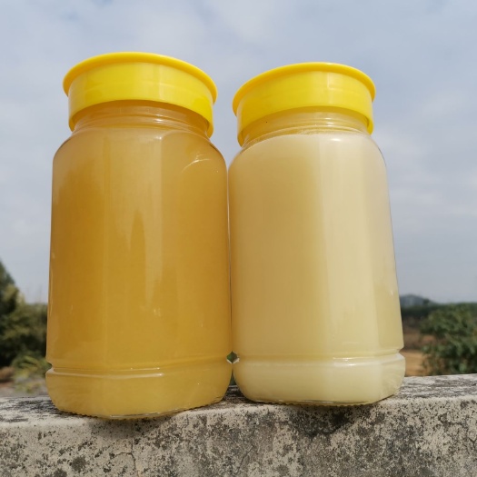 清远纯正鸭脚木蜜，冬蜜