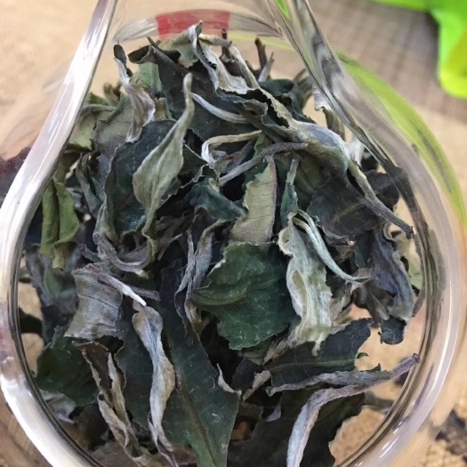 英德市 英九白茶