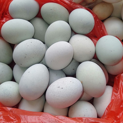 衡东县盐皮蛋 散养鸭蛋制品