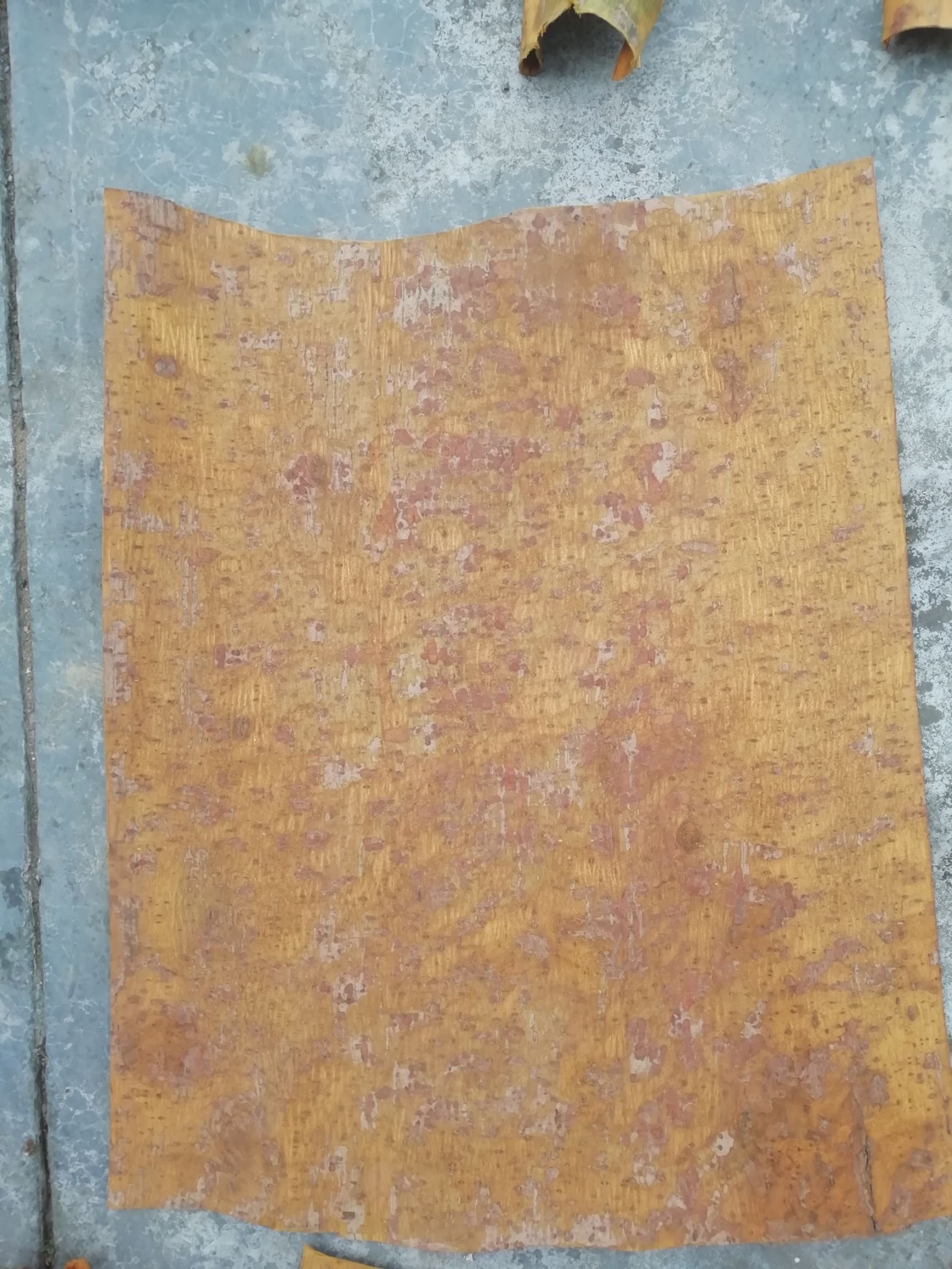  价格实惠，大量供货，纯正川黄柏，年份老，发货快