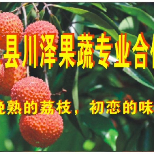 合江县 全国荔枝晚熟基地，川泽果蔬专合社。妃子笑，降沙楠，带绿等品
