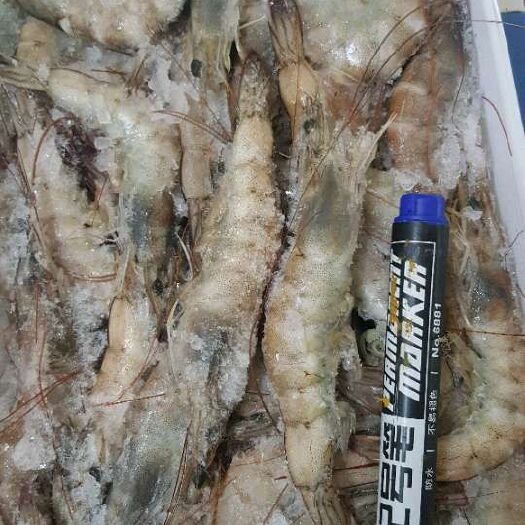 连云港盐东对虾每一个都是单冻
