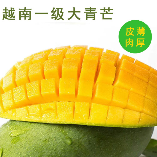 南宁越南大青芒果5斤大金煌芒青皮金煌芒果水果包邮