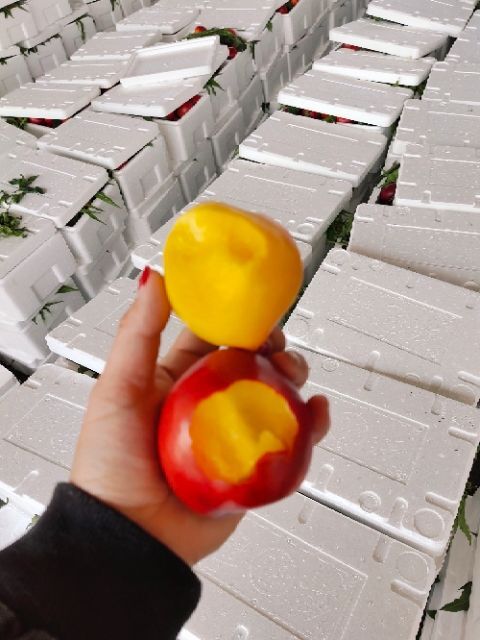 黄油桃  盛产优质黄桃，常年专业出售黄桃，数量大质量好色泽艳丽糖度高，