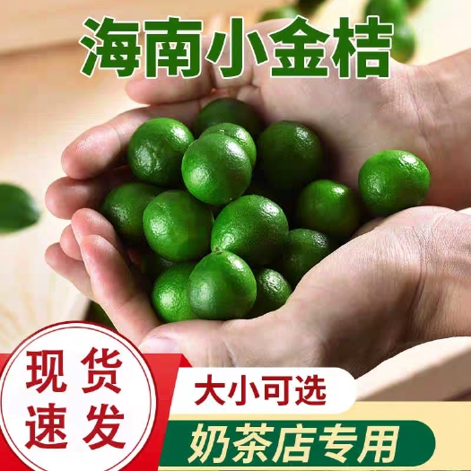 文昌市青桔 特级果