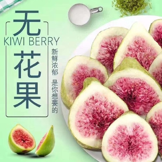 威海冻干无花果干FD冻干无花果脆青皮无花果干天然