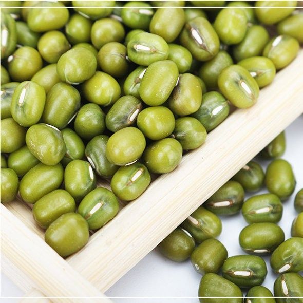  农家特产东北绿豆绿小豆笨绿豆大绿豆小绿豆各种五谷杂粮