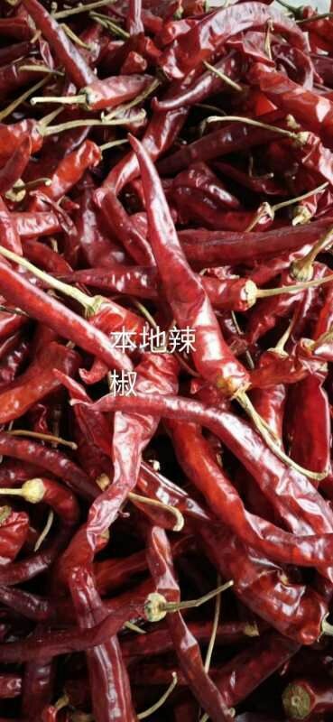 天柱县 高酿农家肥，干辣椒